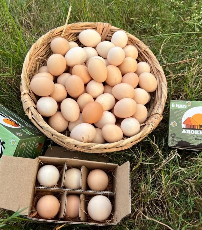 Free-Range Country Eggs
