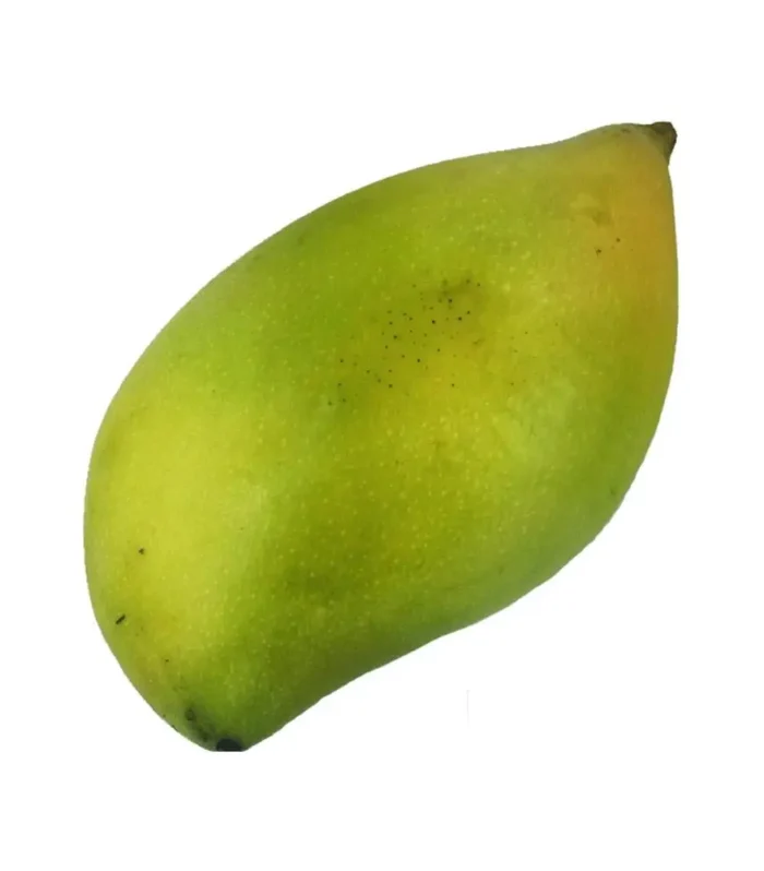 Totapuri Mango