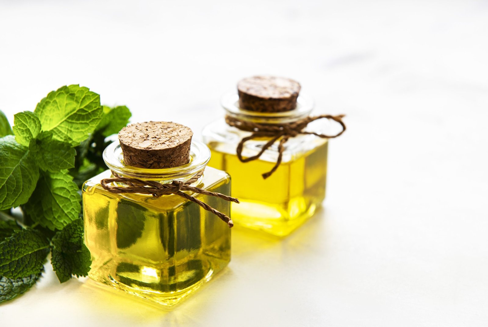 Organic mint oil and green leaves